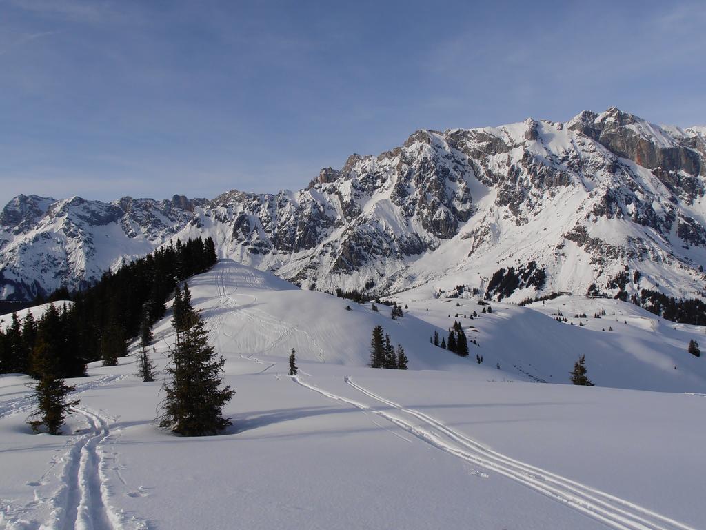 Mühlbach am Hochkönig Bauernhof Bachgut 빌라 외부 사진