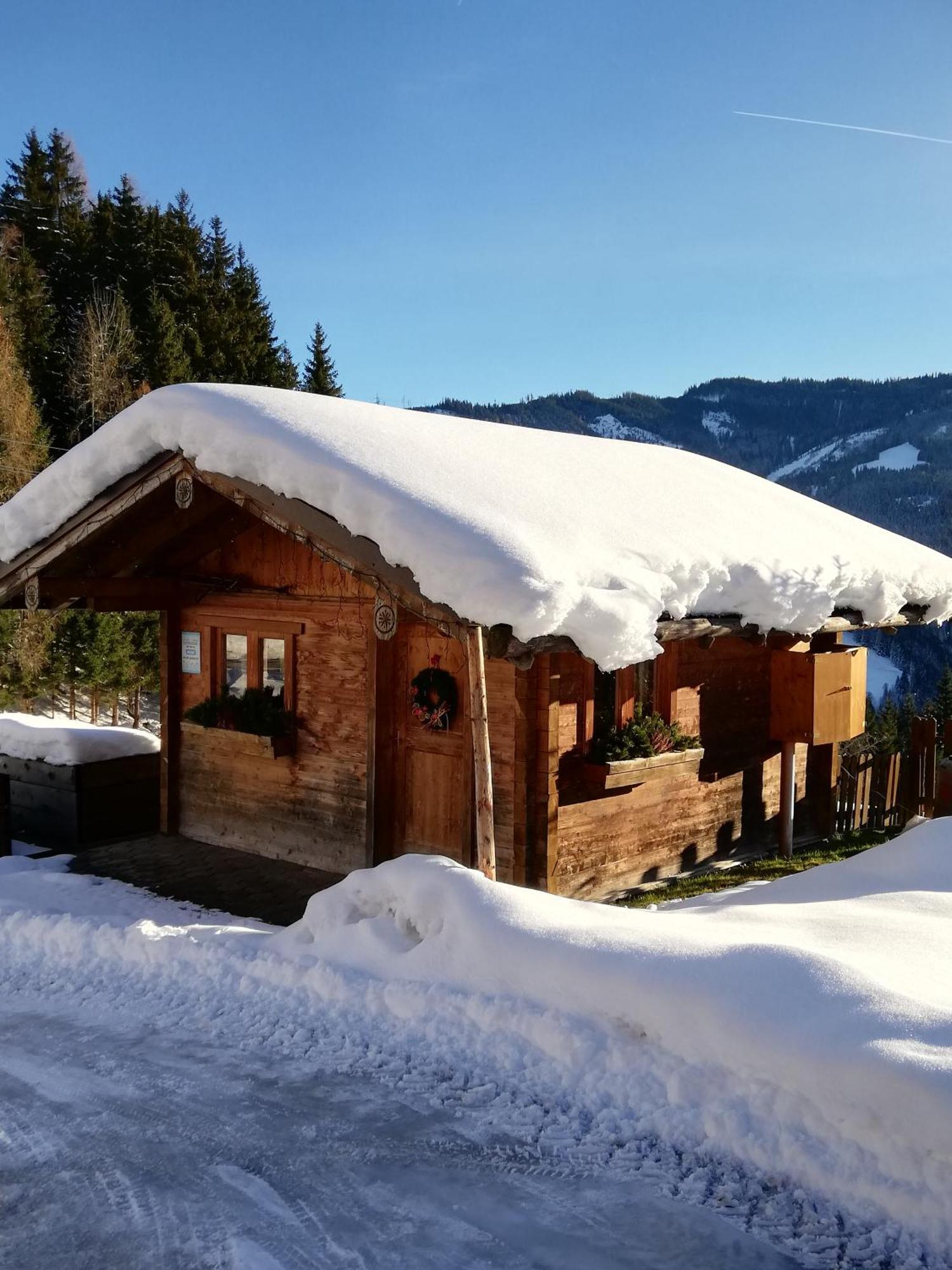 Mühlbach am Hochkönig Bauernhof Bachgut 빌라 외부 사진